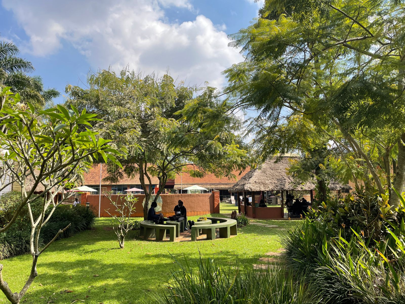 Image of a green school campus