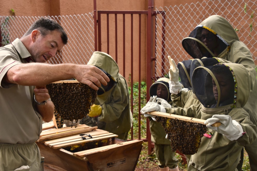 students and teacher studying a beehive