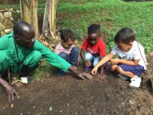 Do you parent like a carpenter or a gardener? Do you parent like a carpenter or a gardener?